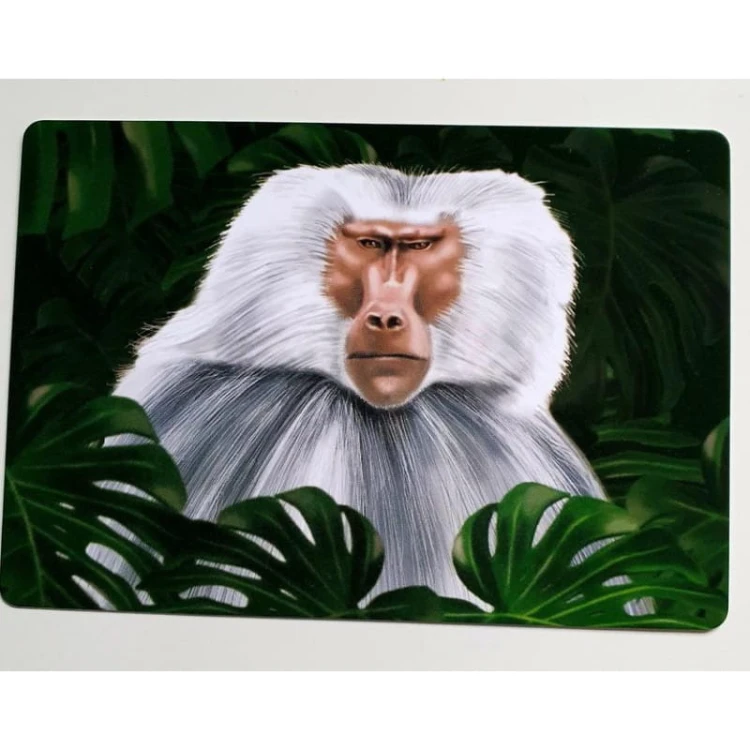 w-dzungli-emocji-gra-terapeutyczna-9.jpg