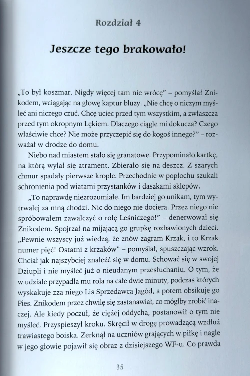 znikodem3.JPG
